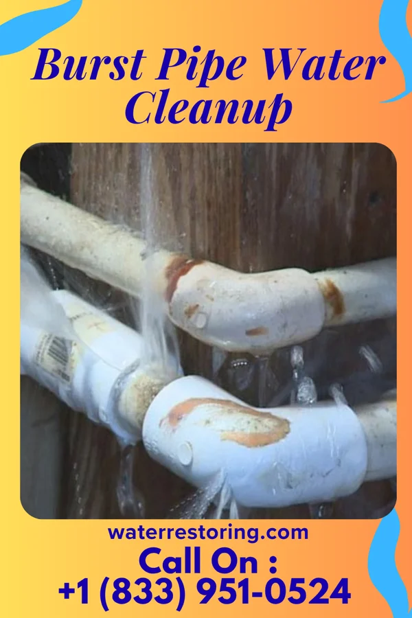 Burst Pipe Water Cleanup in Bloomingburg, OH