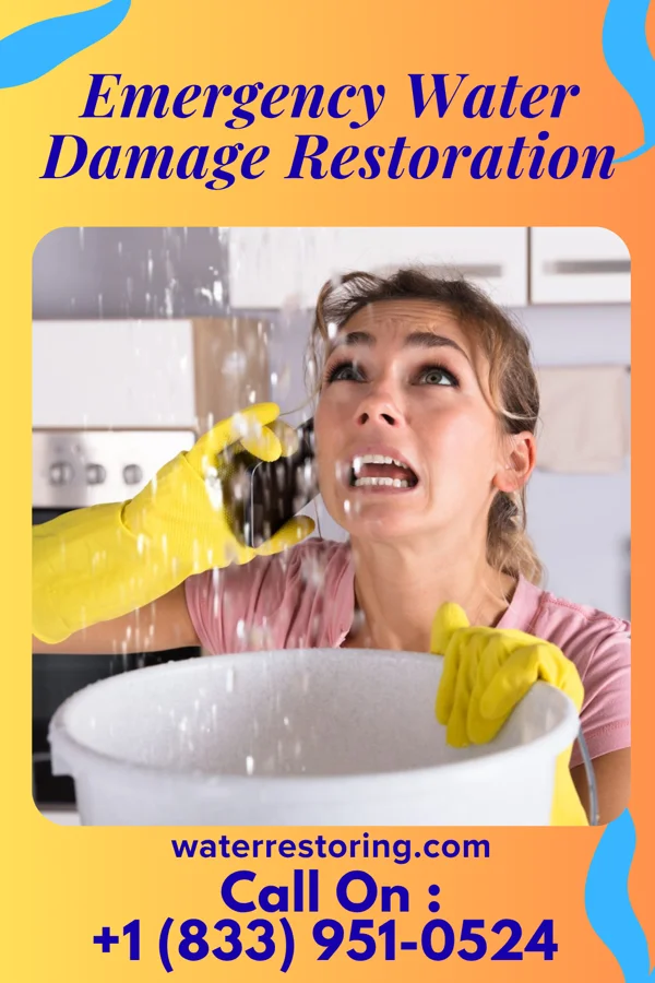 Emergency Water Damage Restoration in Bloomingburg, OH