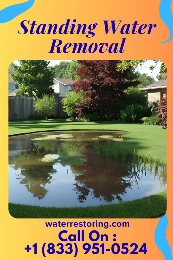 Standing Water Removal in Bloomingburg, OH